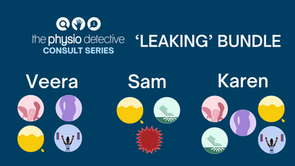 Product image for The 'Leaking' Consult Bundle - Veera, Sam &amp; Karen