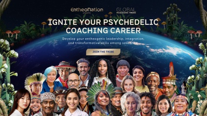 Product image for Global Medicine Tribe Business Accelerator