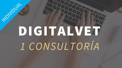 Product image for DigitalVet Consultoría individual