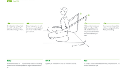 Product image for Wolfe Yoga Wall videos and notes