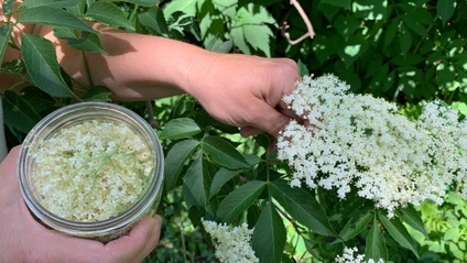 Product image for Three Seasons of Herbal Wisdom