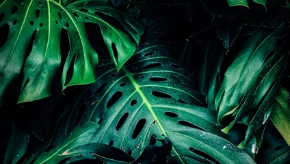 Product image for Let's Chat!