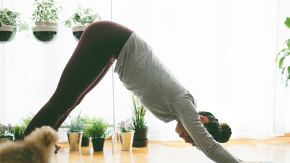 Product image for Nybegynner kurs Ashtanga Yoga!