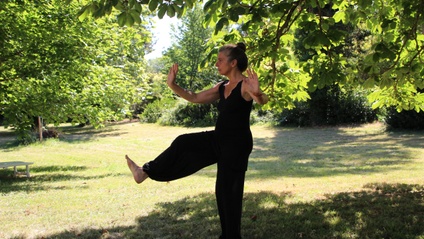 Product image for Tai Chi (.25 CPD hour)