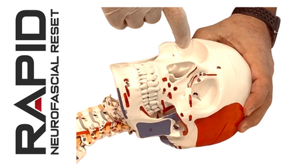 Product image for RAPID CORE RECERTIFICATION