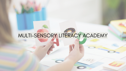 Product image for Multi-Sensory Literacy Academy