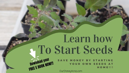 Product image for Seed Starting eBook