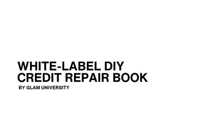 Product image for White-Label DIY Credit Repair Book