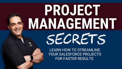 Product image for Project Management Secrets