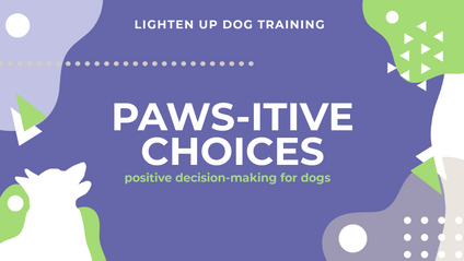 Product image for Paws-itive Choices: Foundation Skills for Impulsive Dogs
