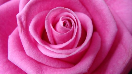 Product image for Feminine Flower Shadow Work Course Bundle