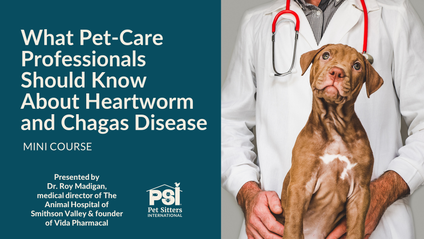 Product image for Mini Course: What Pet-Care Professionals Should Know About Heartworm and Chagas Disease