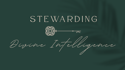 Product image for Stewarding Divine Intelligence