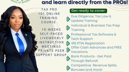 Product image for Tax Pro's 101