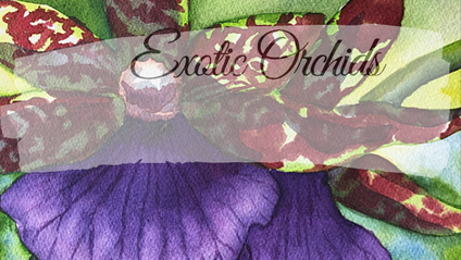 Product image for 1. Exotic Orchids Masterclass Series 