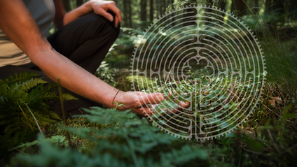 Product image for Webinar: Nature Therapy