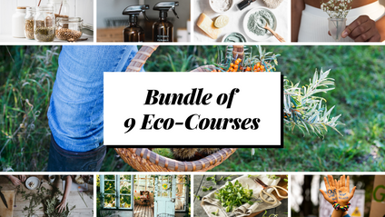 Product image for Bundle of All Courses