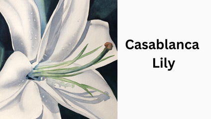 Product image for Casablanca Lily Workshop Replay