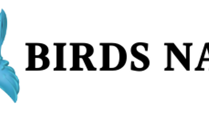 Product image for Birds Name in Hindi and English with Pictures