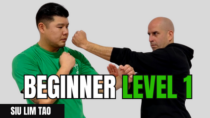 Product image for Level 1 - Applied Wing Chun Course