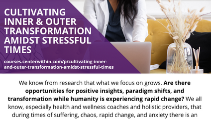 Product image for Cultivating Inner and Outer Transformation Amidst Stressful Times