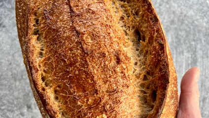 Product image for 50% Whole Wheat Sourdough Excel Dough Calculator
