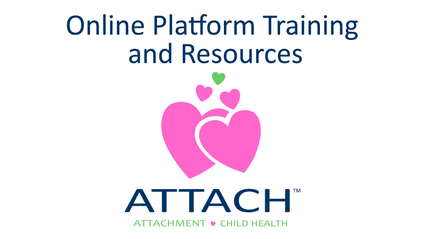 Product image for Online Platform Training and Resources