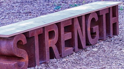 Product image for Strengths Foundation