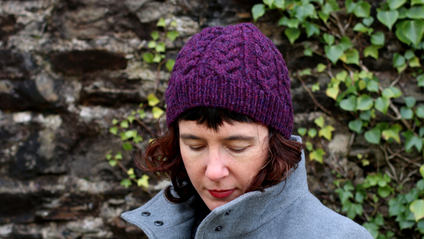 Product image for Santach