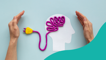 Product image for The Schools of Counselling