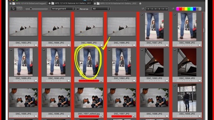 Product image for Portfolio Reviews