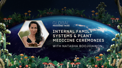 Product image for Internal Family Systems & Plant Medicine Ceremonies