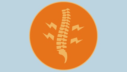 Product image for Musculoskeletal