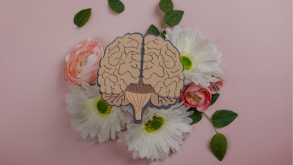 Product image for Mental Momentum: Shift into Growth