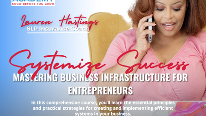 Product image for Systemize Success: Mastering Business Infrastructure for Entrepreneurs