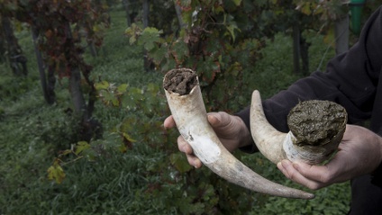 Product image for What is a Biodynamic Calendar?