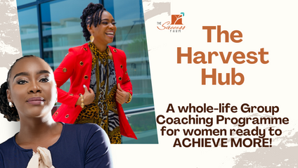 Product image for The Harvest Hub Group Coaching Programme 