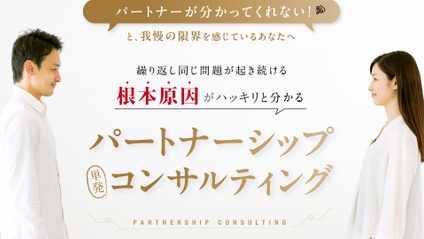 Product image for パートナーシップ単発コンサルティング