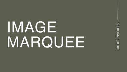 Product image for Image Marquee for Showit