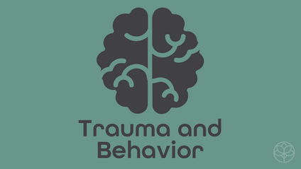 Product image for Trauma & Behavior