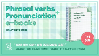 Product image for 80개 필수숙어 + 발음 ebook