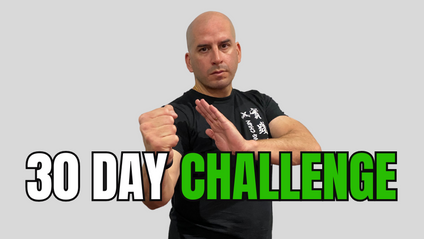 Product image for 30 Day Applied Wing Chun Challenge