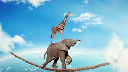 Product image for Resilience 