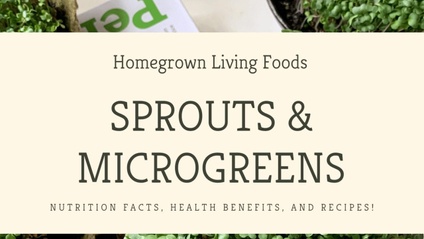 Product image for Ebook: Sprouts & Microgreens