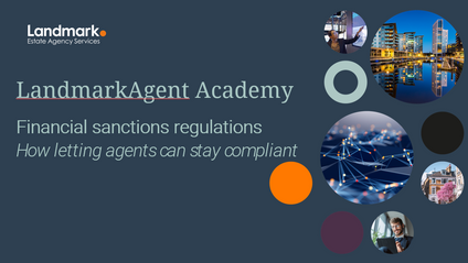 Product image for Lettings: Financial Sanctions Regulations [OFSI]