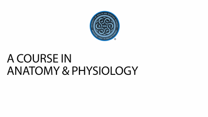 Product image for Anatomy & Physiology- ANATPHY1
