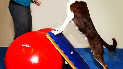 Product image for 90 Days To Agility Fitness