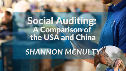 Product image for Social Auditing: A Comparison of the USA and China