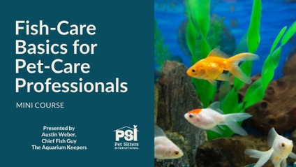 Product image for Mini Course: Fish-Care Basics for Pet-Care Professionals