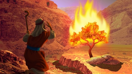 Product image for Moses: Shocked in the Desert